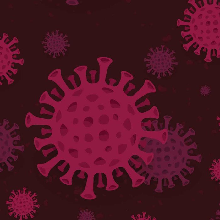 Coronavirus and Why Windows are Essential